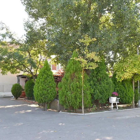 Teo Apartament